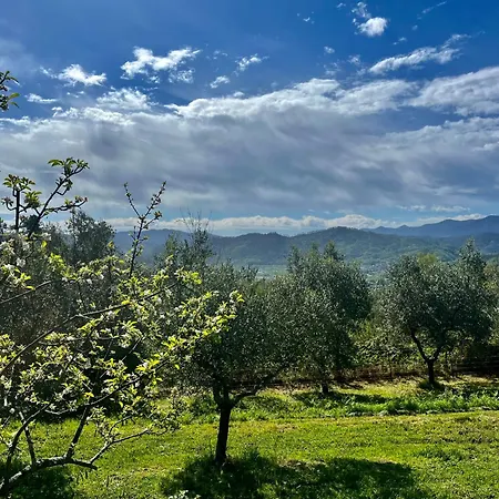 Casa Valle 아파트 *